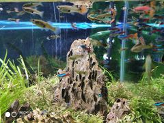 -梦幻海洋王国(吾悦广场张家港店)