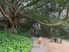 -宋井风景区