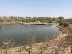 -东郊湿地公园