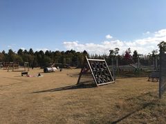 游乐设施-上海长兴岛郊野公园