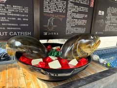 -江龙饭店·乌江豆腐鱼(乌江老桥头店)