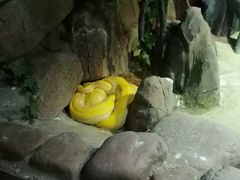 -太原动物园