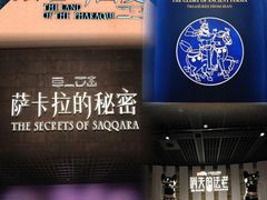 -上海博物馆(人民广场馆)