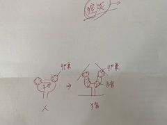 -爱妮康宠物医院·干细胞免疫细胞·肿瘤·心脏(张江店)