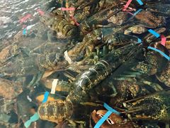 -东海怡品海鲜豆捞(舟宿夜江店)