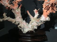 -台北故宫博物院