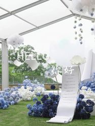 -HELLO你好婚礼婚庆策划