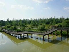 -白鹭湾湿地公园