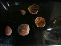 -王老头炒货(天坛东路店)