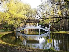 -上海共青森林公园