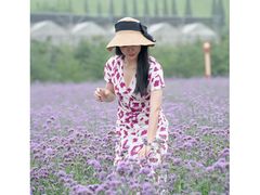 -龙口南山旅游景区