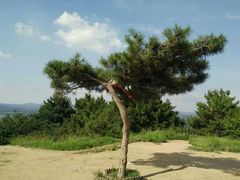 -高尔山公园