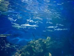 -华夏文旅西安度假区