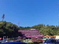 -深圳仙湖植物园