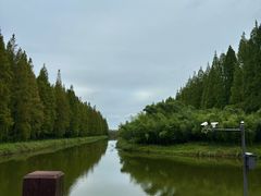 -黄海国家森林公园