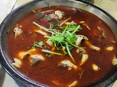 -重庆特色冷锅鱼(武大店)