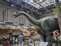 -国家自然博物馆