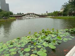 -西海子公园