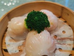 -新雅粤菜馆(南京东路店)