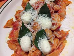 -ZAFFERANO西班牙海鲜饭(上海首店)