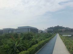 -长洲岛