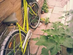 android_upload_pic-斯多格书乡(北京大学畅春园店)