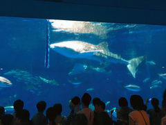 -鹿儿岛水族馆