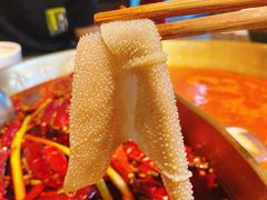 小龙坎毛肚-小龙坎火锅(全球总店)