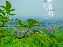 -杭州半山国家森林公园