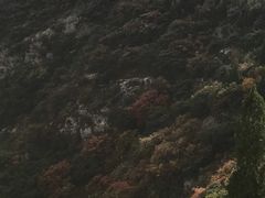 -博山九龙峪风景区
