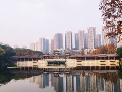 -重庆彩云湖湿地公园