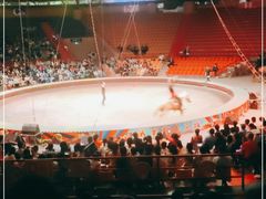 -俄罗斯国家大马戏团