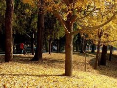 -大连理工大学(凌水校区)