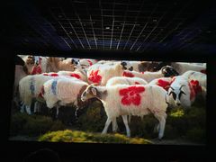-太平洋影城(王府井店)