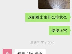 -喵百万·布偶·蓝金金渐层英短·猫舍(百子湾店)