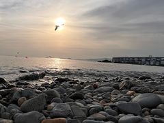 -银沙滩浴场