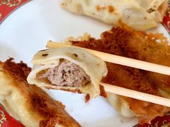 牛肉锅贴-一品鲜鱼锅贴(人民一路店)