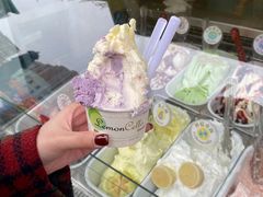 -柠檬车露(卖草地店)