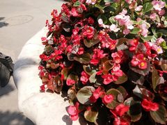 -成都市第一人民医院(南区)