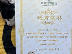 -博特宠物医院24h犬猫全科.骨科·异宠
