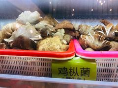 -菌海森林·非遗野生菌火锅(西山区滇池路摩根道店)