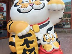 -上海野生动物园老虎餐厅