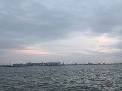 -海鸥岛
