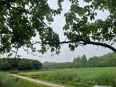 -八卦田遗址公园