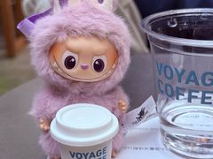 -VOYAGE COFFEE(杨梅竹店)