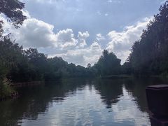 -溱湖国家湿地公园