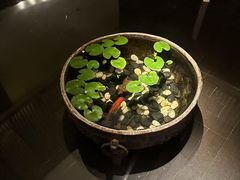 -曲水兰亭(北京四惠店)