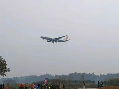 -空港花田景区
