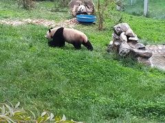 -西安秦岭野生动物园