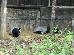 -清迈夜间动物园